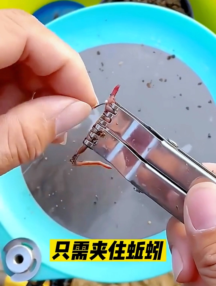 徒手挂蚯蚓,手又脏又臭!老钓友教你正确挂法,操作简单不脏手
