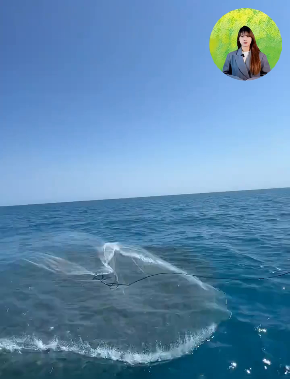 海边捕鱼技巧：渔夫追捕迁徙鱼群，在大海里撒网捕鱼