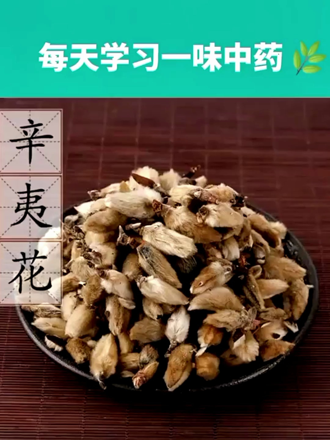 鼻炎者的福音,一味中药,扫光你的鼻炎,鼻窦炎,鼻息肉!