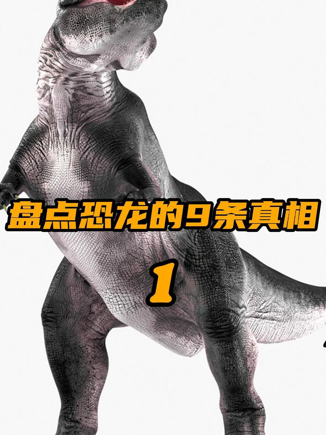 恐龙其实有着五颜六色的羽毛,盘点关于恐龙的9条真相