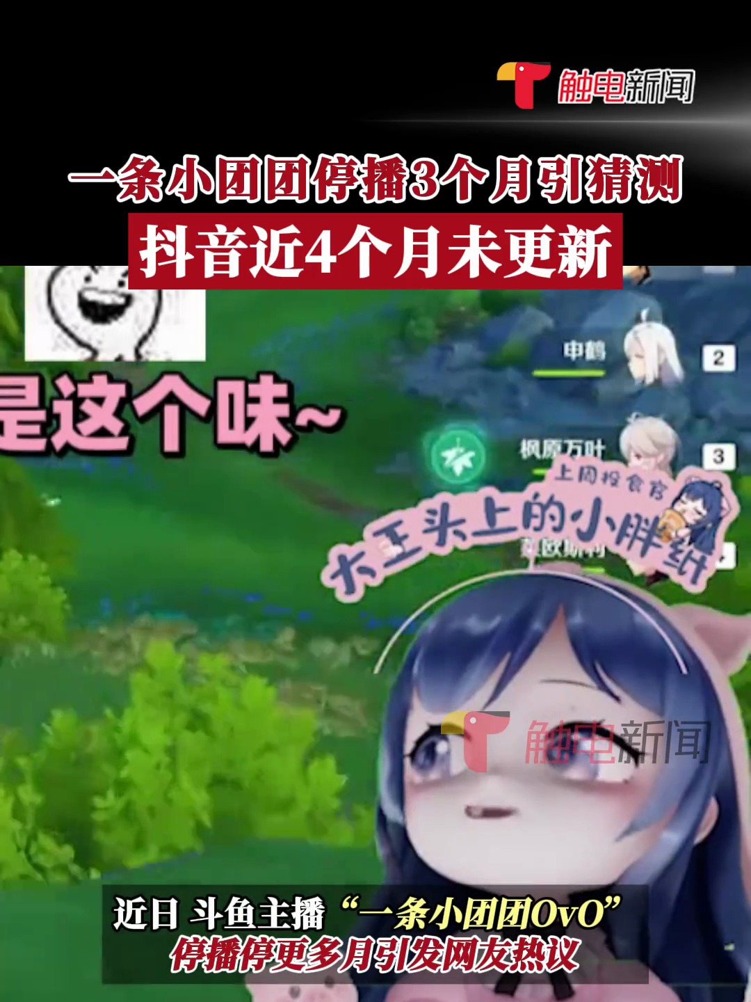 斗鱼主播“一条小团团OvO”停播多月引发热议,其抖音平台账号已停止更新近4个月