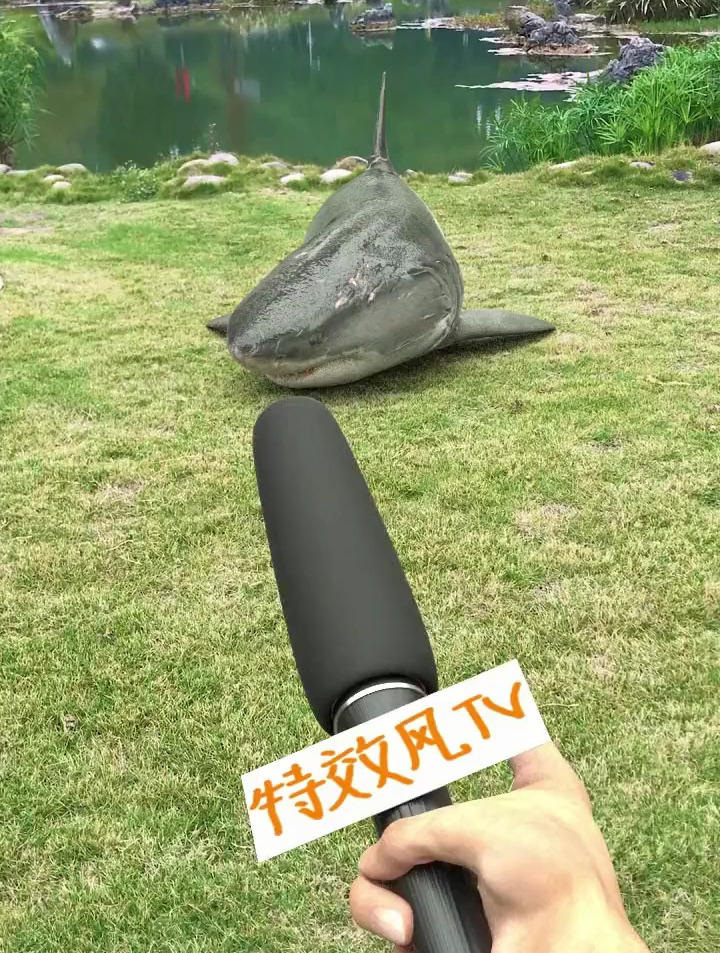 采访大鲨鱼,它居然咬我话筒