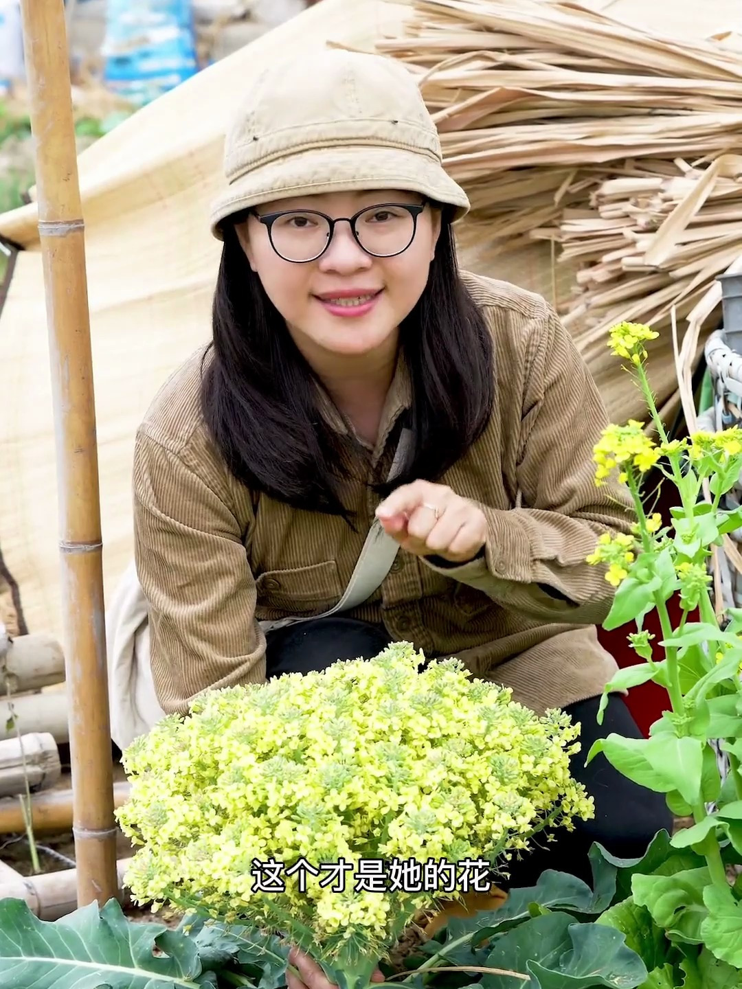 一日一植物 花菜是会开花的 你们见过吗