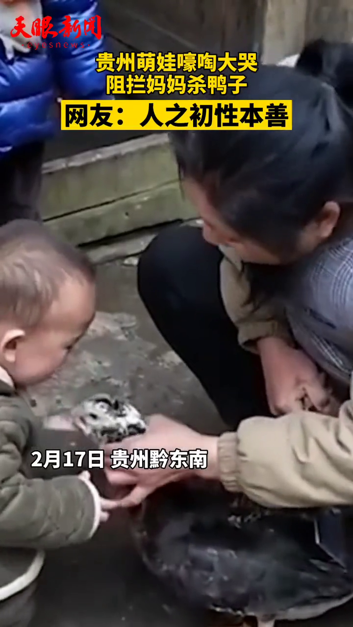 萌娃嚎啕大哭阻拦妈妈杀鸭子,网友:人之初性本善
