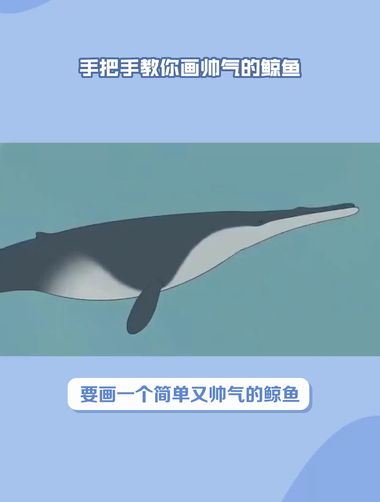 鲸鱼怎么画简单又帅气