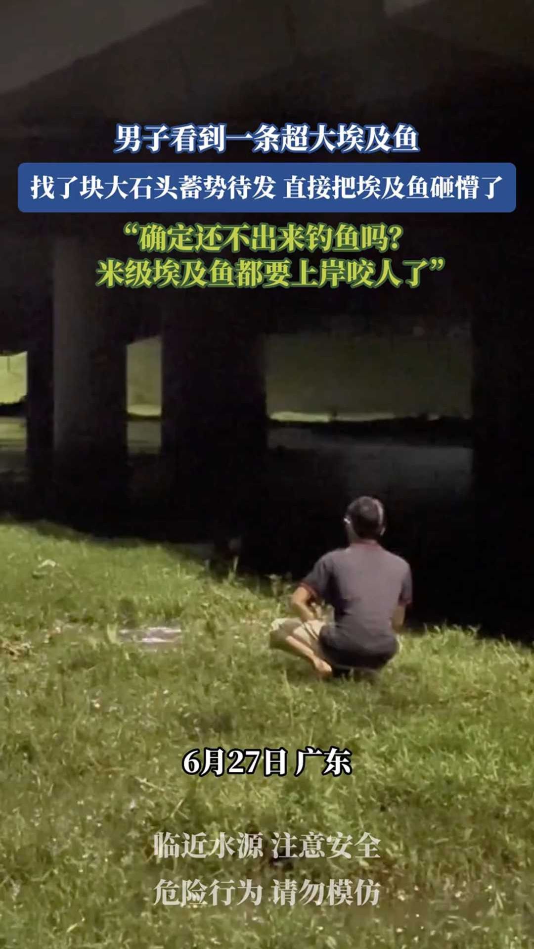 男子看到一条超大埃及鱼，找了块大石头直接把鱼砸懵了