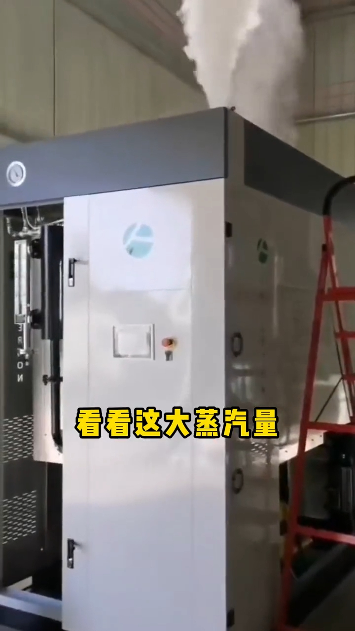 帕莱顿蒸汽发生器运行实测,综合节能30%