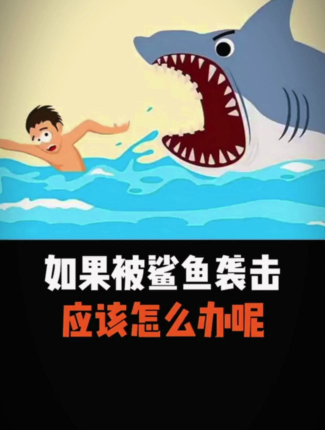 如果被鲨鱼袭击,应该怎么办呢?