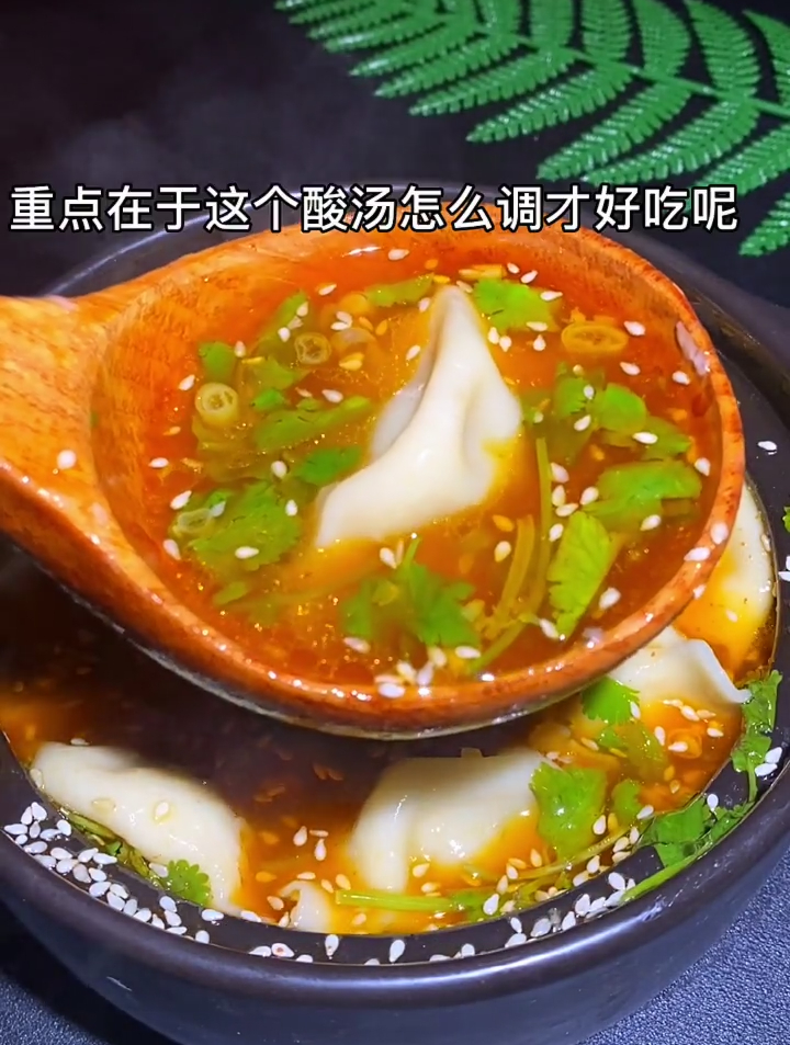 今天我做了一个酸汤水饺,重点在于这个汤料是怎么调的?