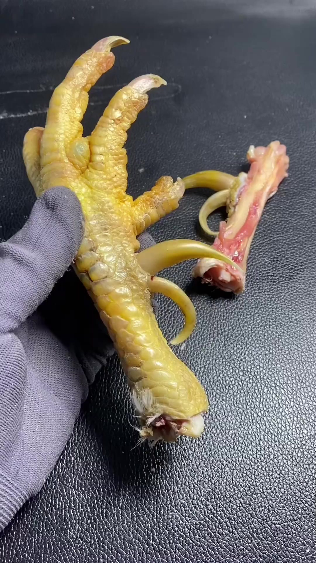 鸡蹬子 鸡爪子做成手把件