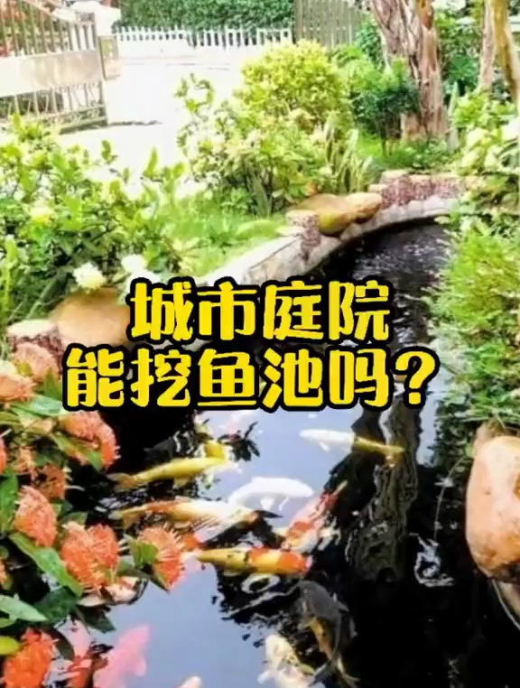 城市庭院能不能挖鱼池?这个视频告诉你!