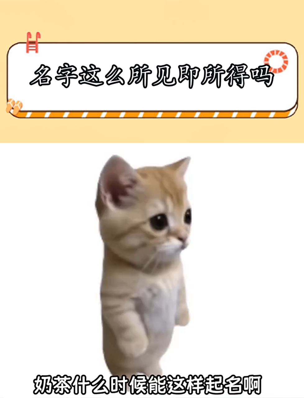好通俗易懂的名字，就像点菜时看菜名就知道是什么菜