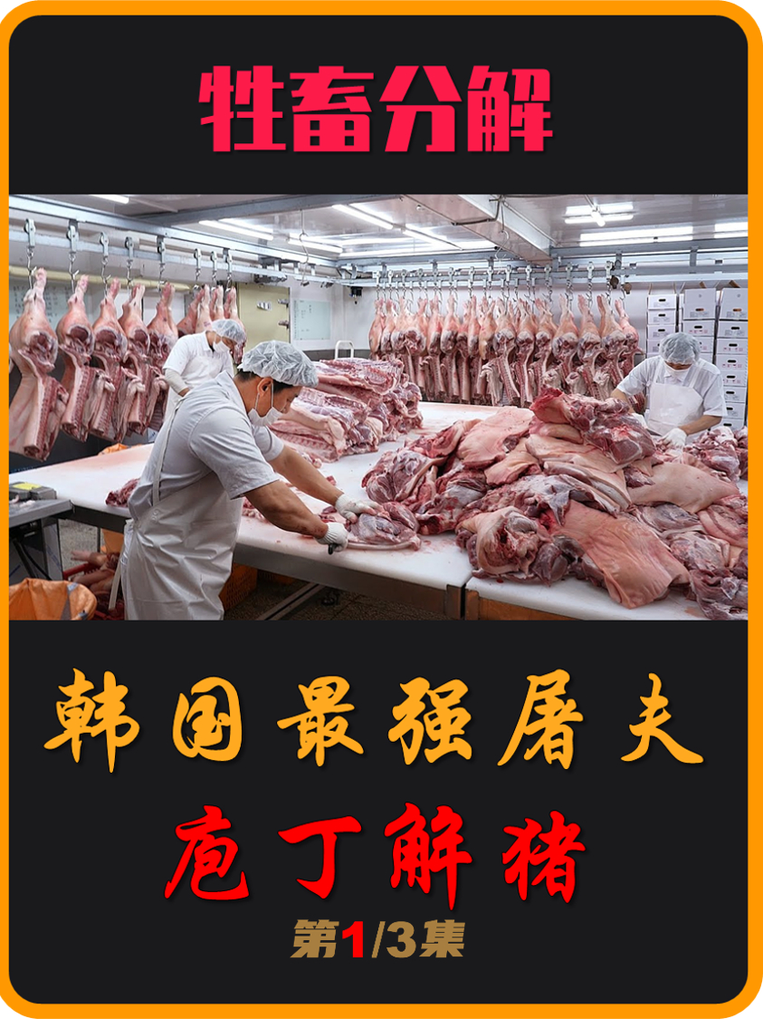 什么事情做到极致就是一种艺术,生猪分解也一样(01)