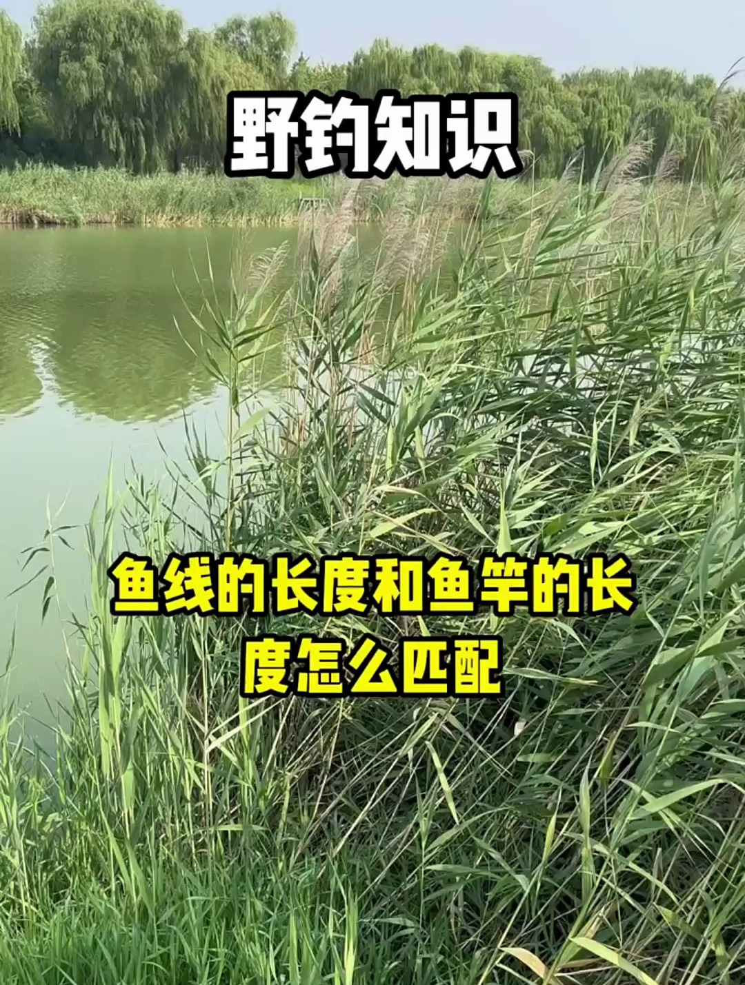鱼线长度和鱼竿长度怎么匹配?弄懂这2种钓法,长短自己来决定!