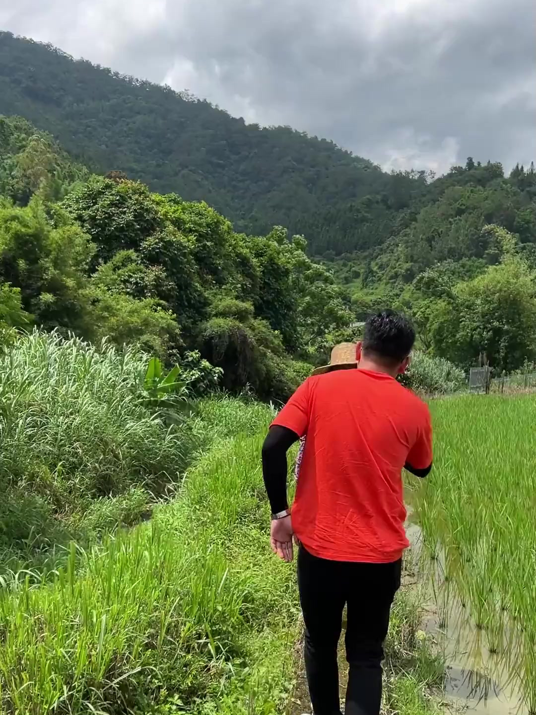 氹仔鱼是什么鱼?你们吃过吗?