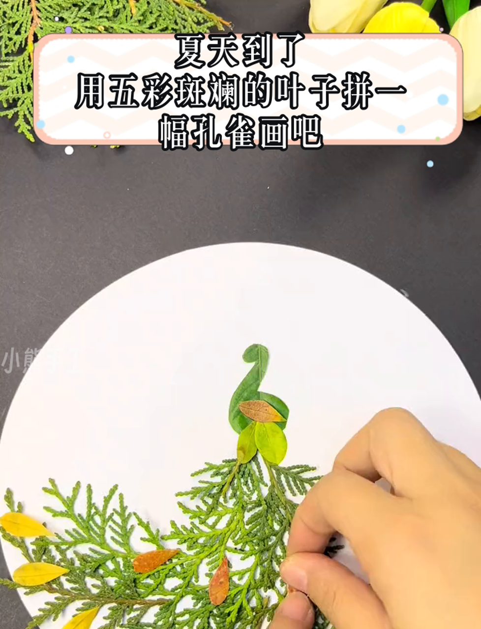 夏天到了,用五彩斑斓的叶子拼一幅孔雀画吧