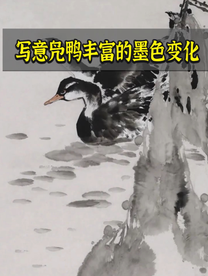 写意凫鸭的墨色变化与层次关系