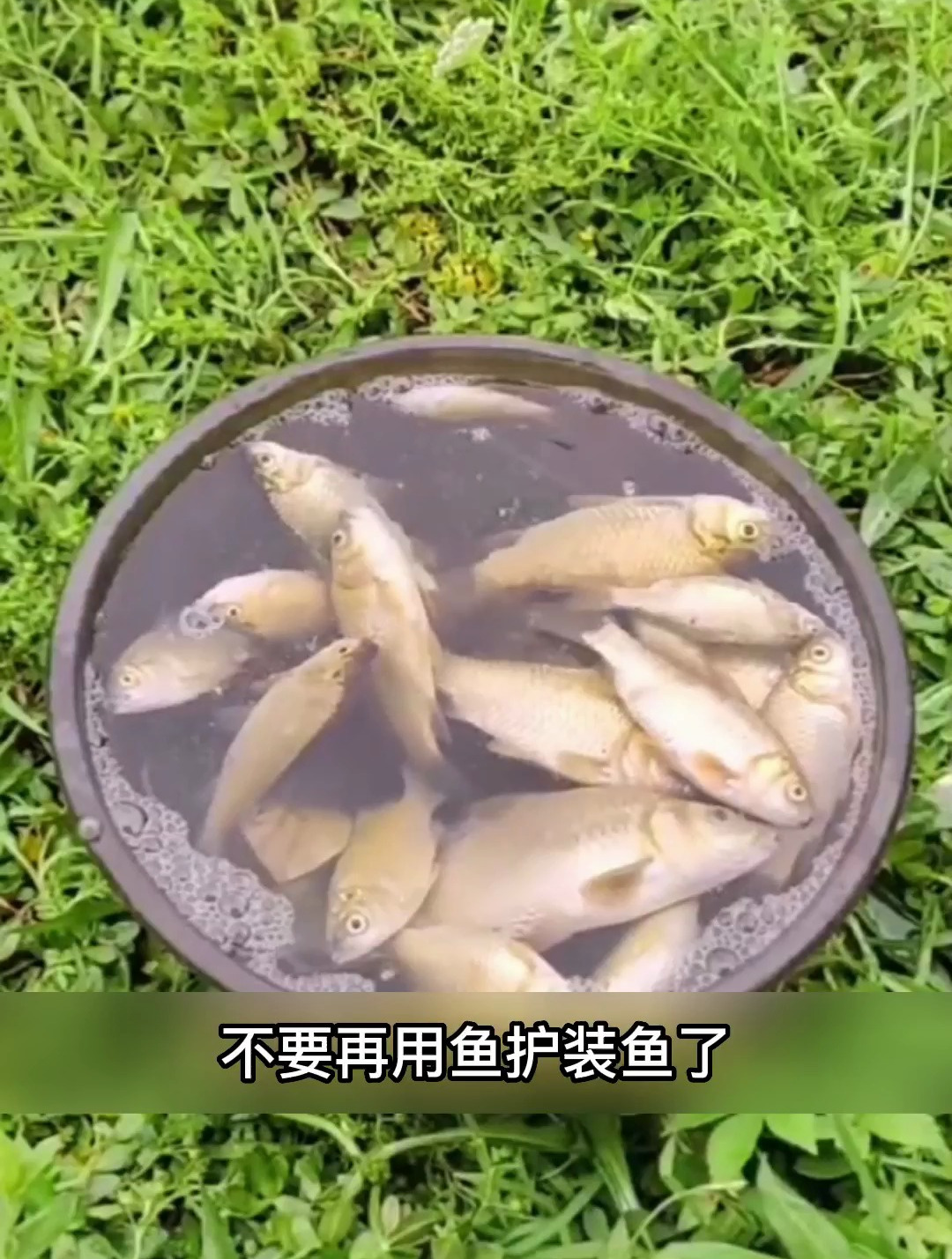 折叠不占空间,这样的活鱼桶你用过吗?便携方便不担心漏水!
