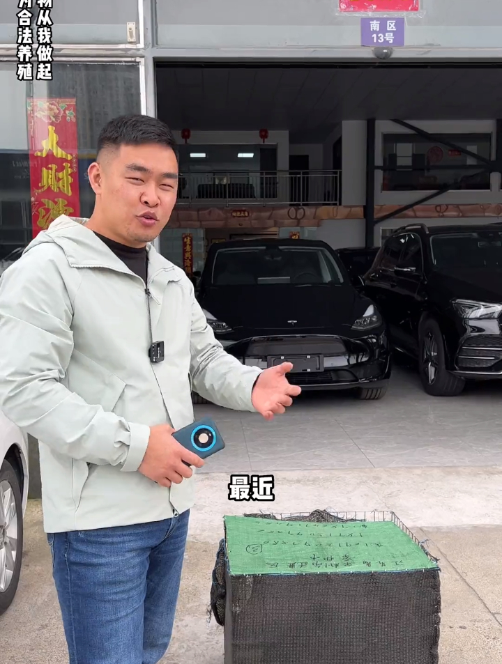 老季收到两只朋友人工饲养的可爱小家伙