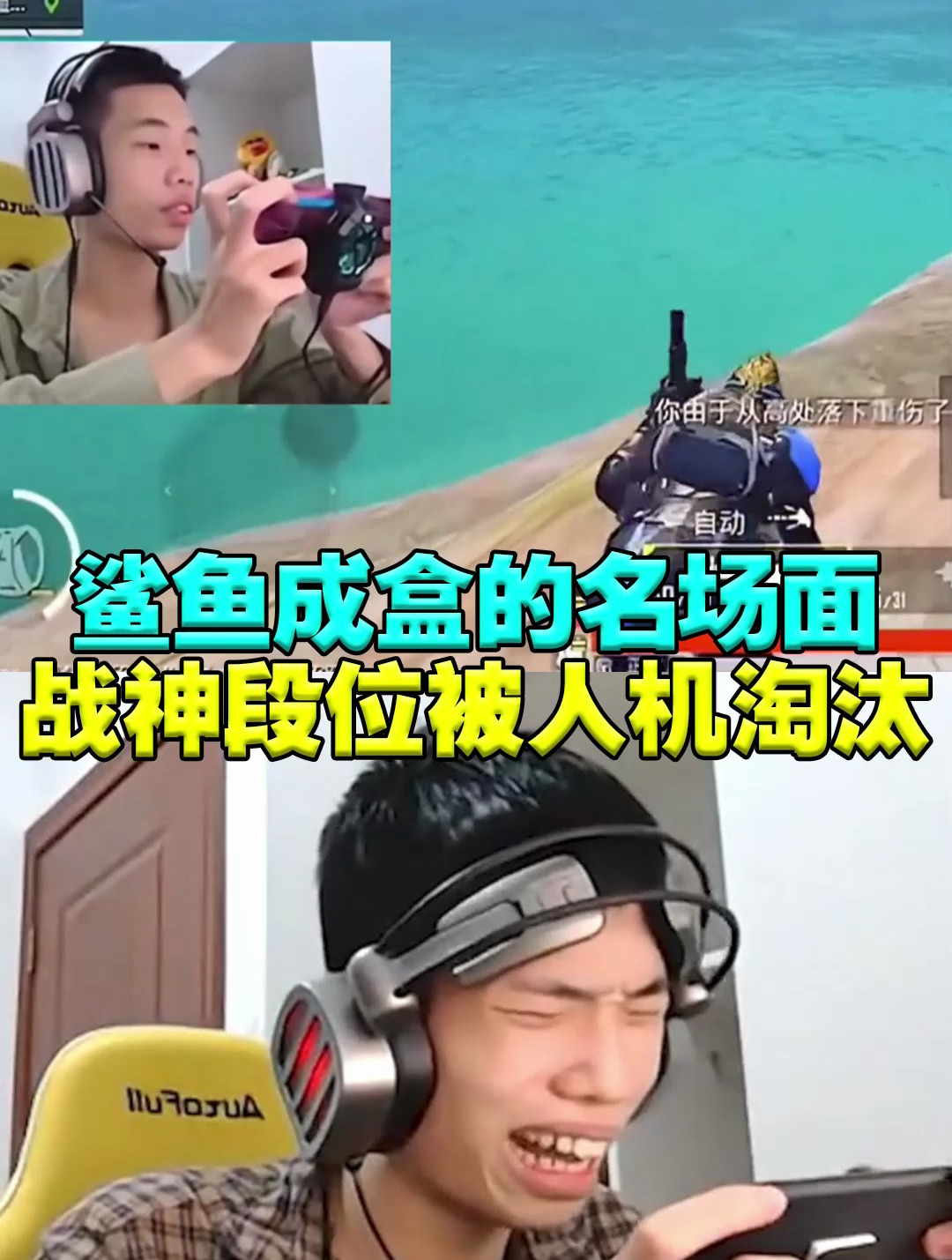 和平一哥鲨鱼成盒名场面被人机淘汰