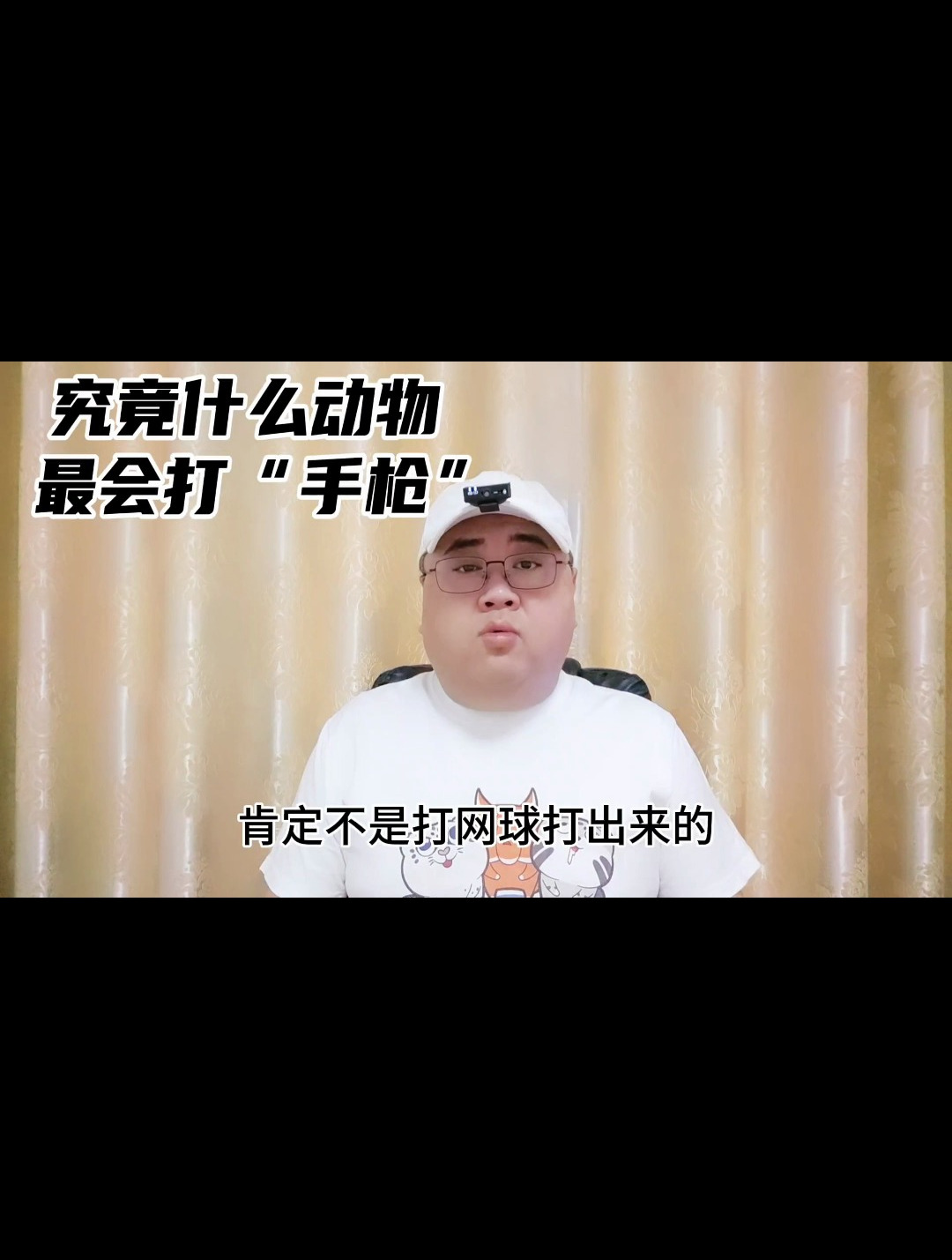 动物界最会打枪的枪虾!