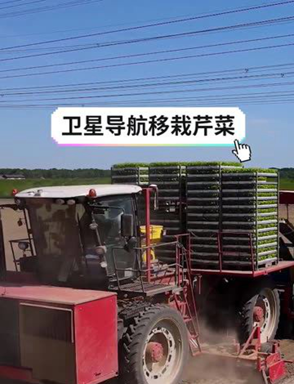 蔬菜农场12行蔬菜移栽机器,在卫星导航辅助下移栽芹菜