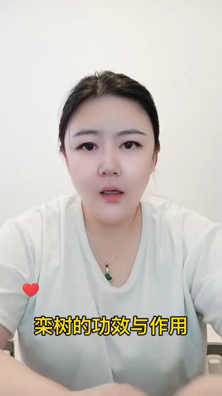奇闻轶事_栾树的功效与作用!