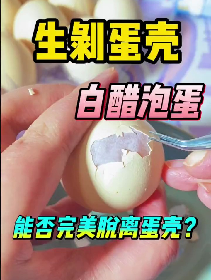 生剥鸡蛋!白醋泡蛋?怎么才能让鸡蛋完美脱壳!