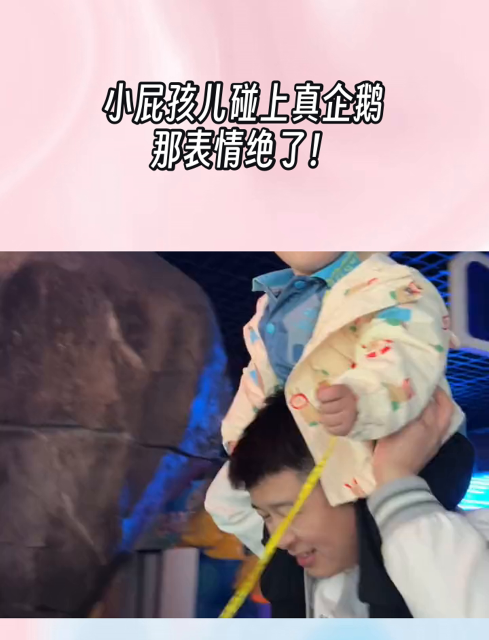 小屁孩儿碰上真企鹅,那表情绝了!