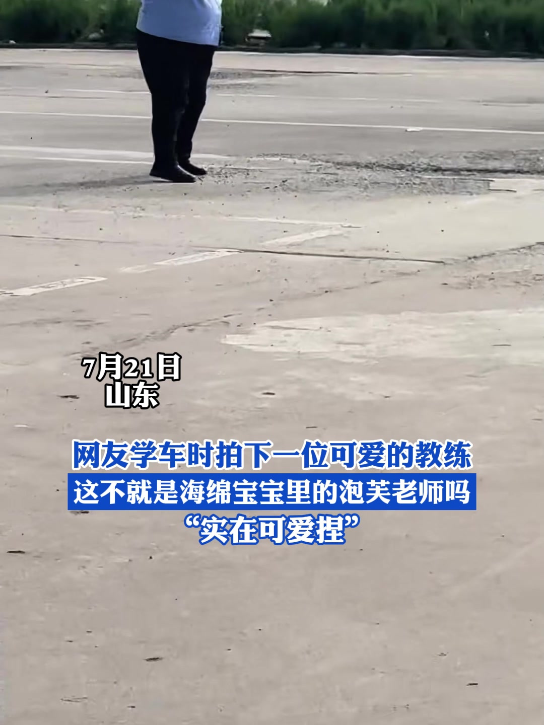 网友学车时拍下一位可爱的教练,这不就是海绵宝宝里的泡芙老师吗