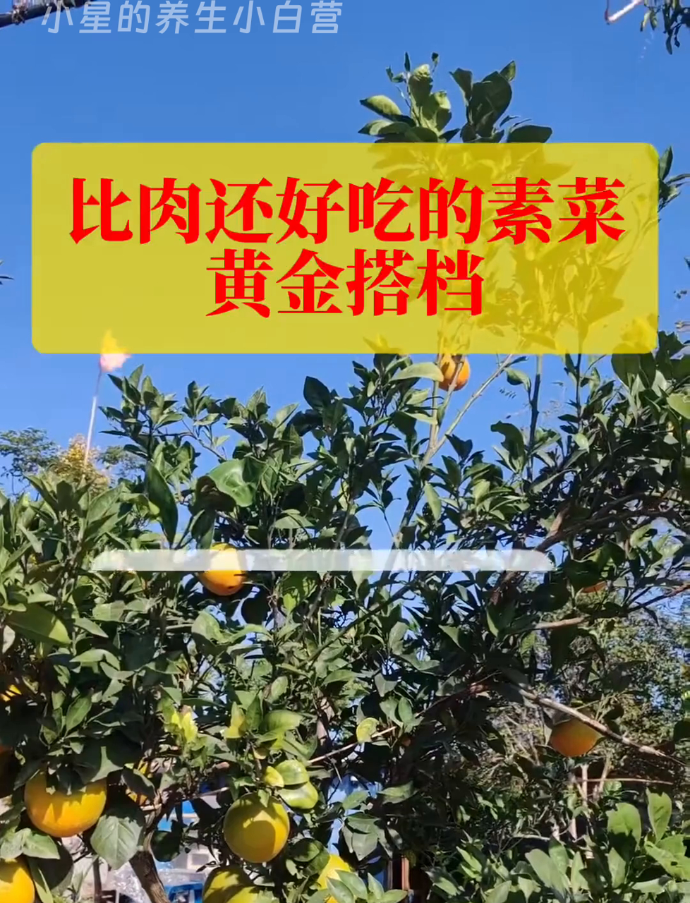 这几样素菜搭配,营养赛过吃肉