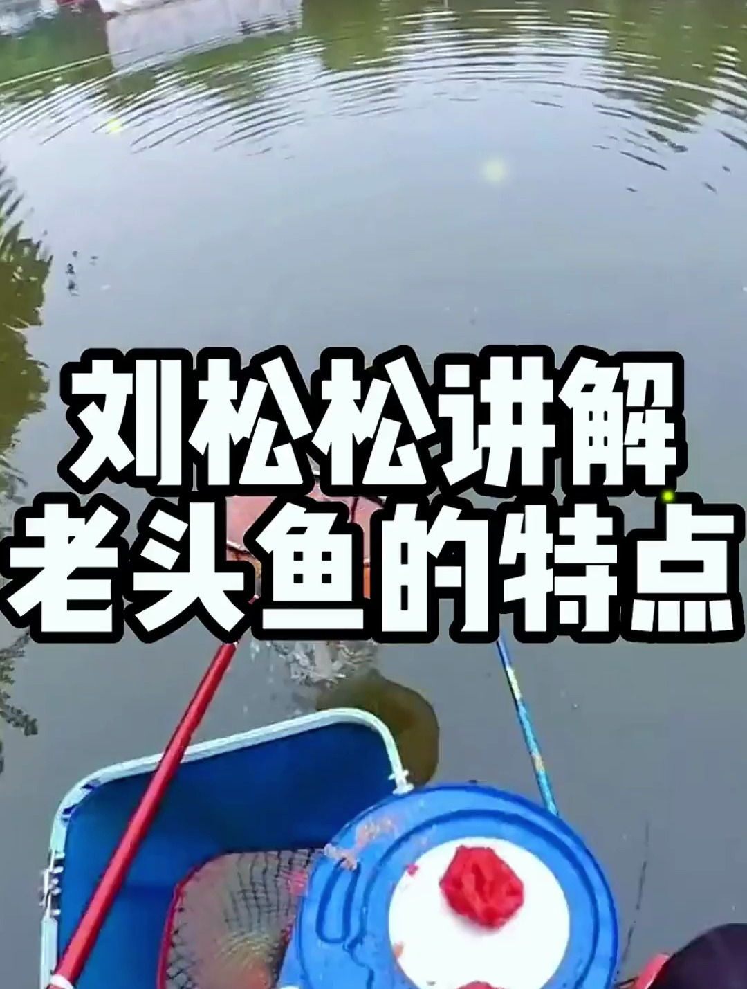 “老头鱼”怎么钓?听刘松松讲解“习性”,注意这些东西的选择!