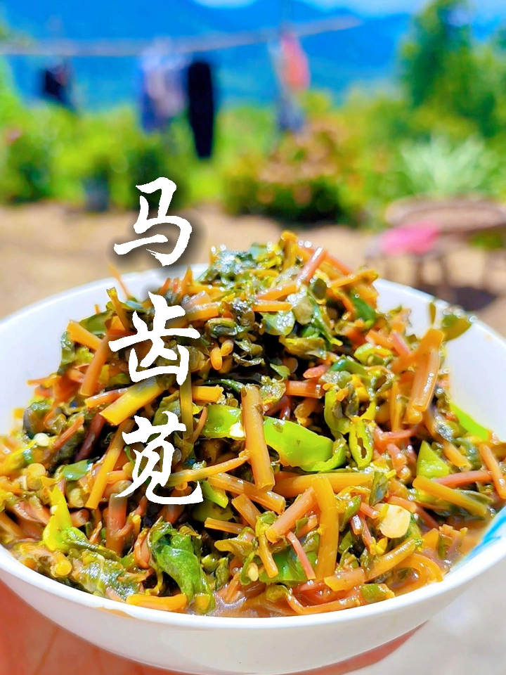 我们这叫马扎汉的野菜(马齿苋)你吃过吗?