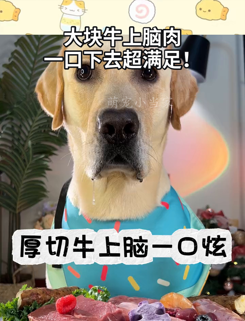 大块牛上脑肉,一口下去超满足!