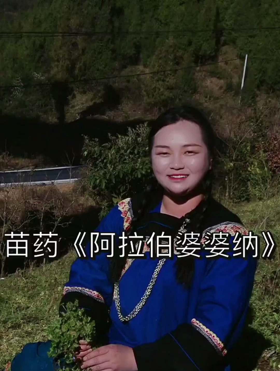 你知道婆婆菜还有什么作用吗?中草药