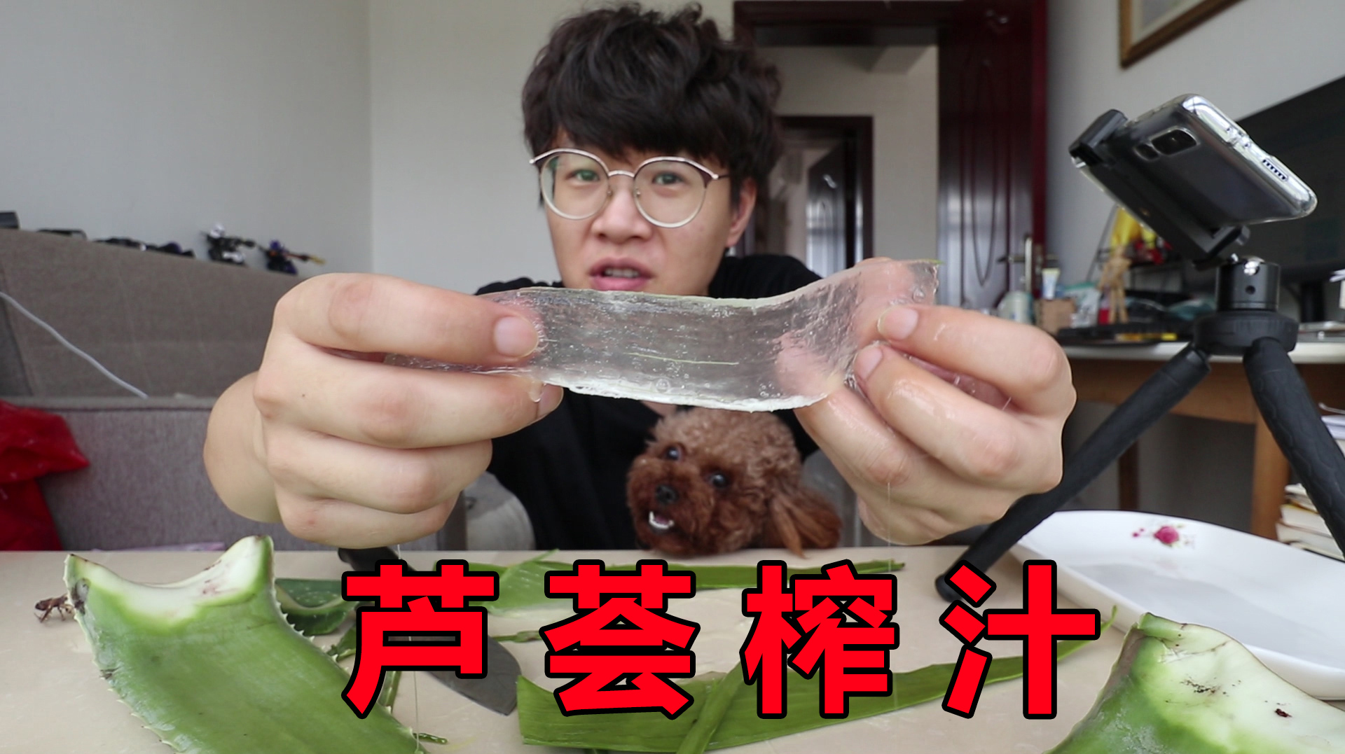 网购的可食用芦荟,扔进榨汁机,能不能榨出果汁?