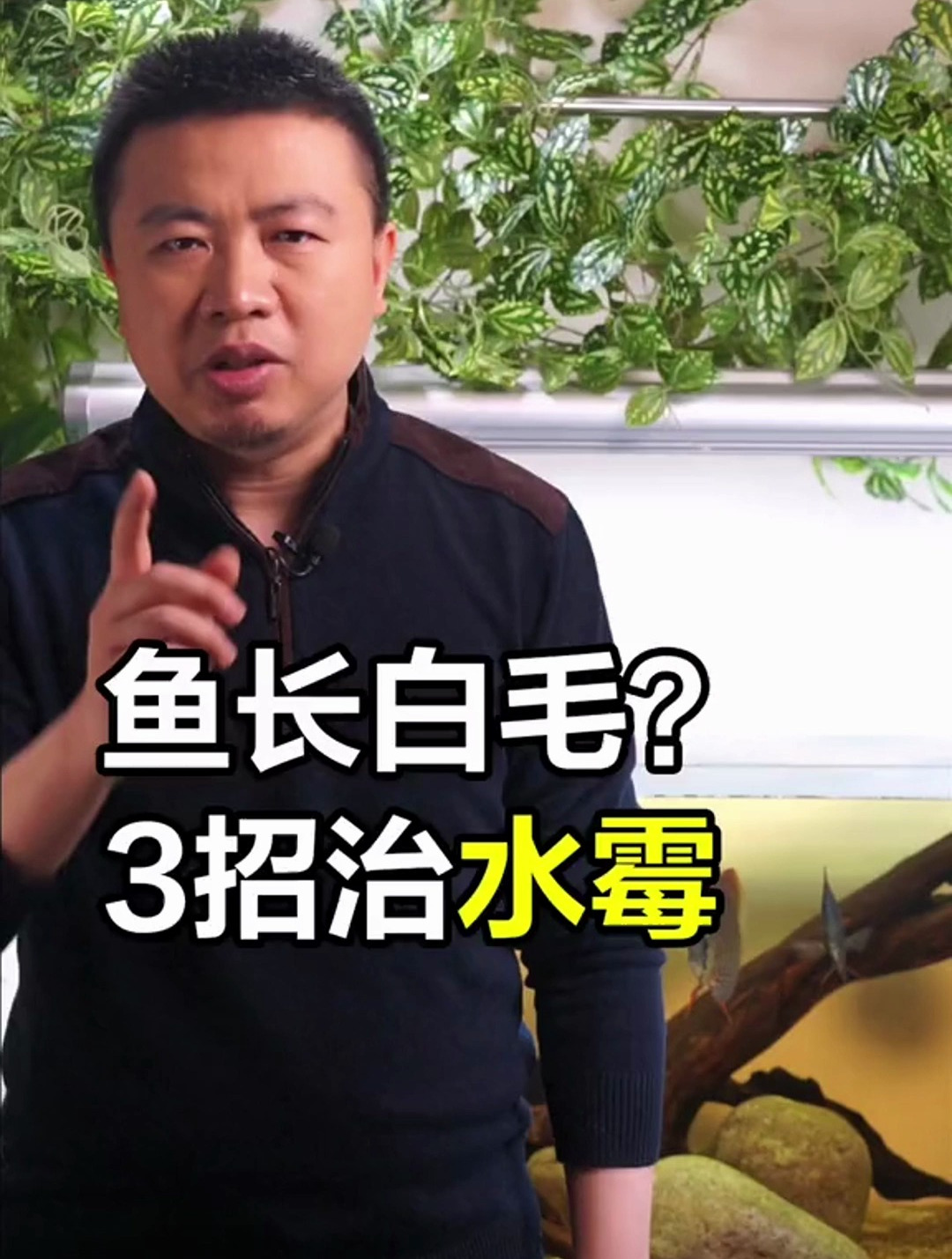 鱼眼睛变白 就是蒙眼 给你讲蒙眼的原因和解决方法