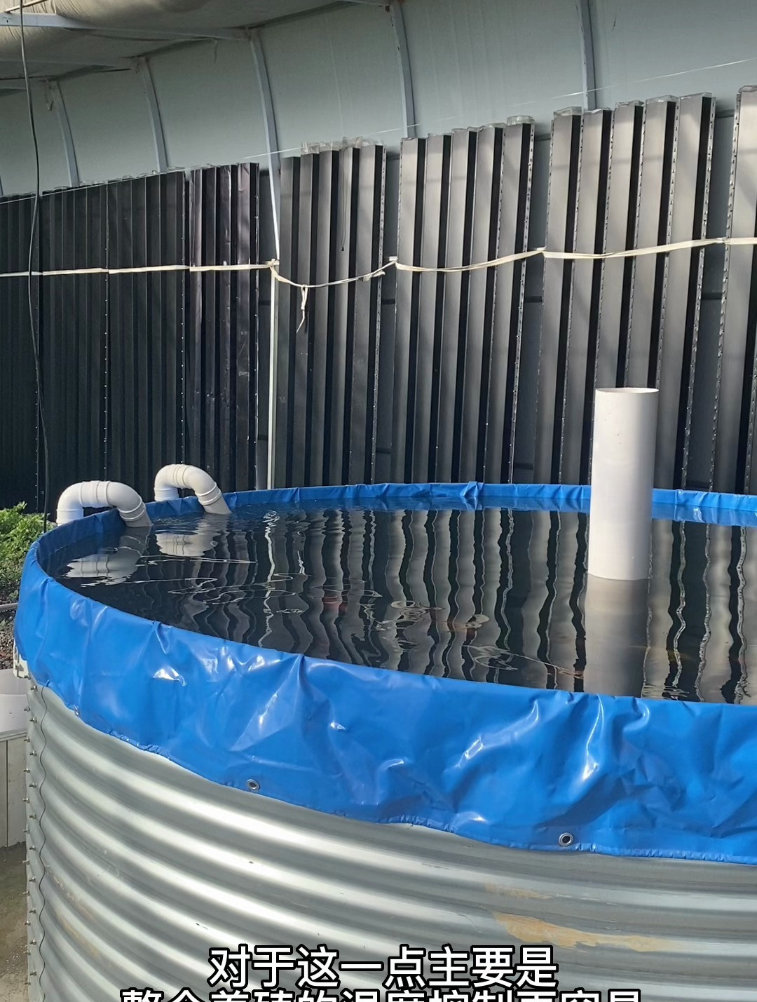 温室大棚鱼菜共生里鱼池建设的情况