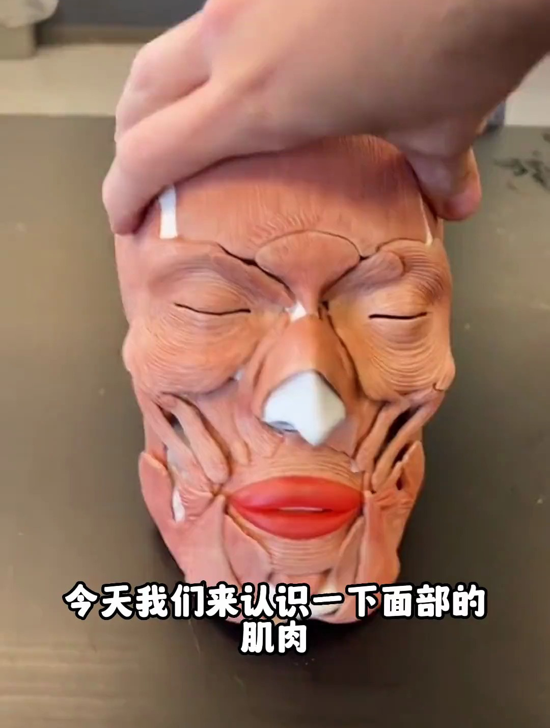 面部肌肉还有这么多你都知道吗?快来看看吧
