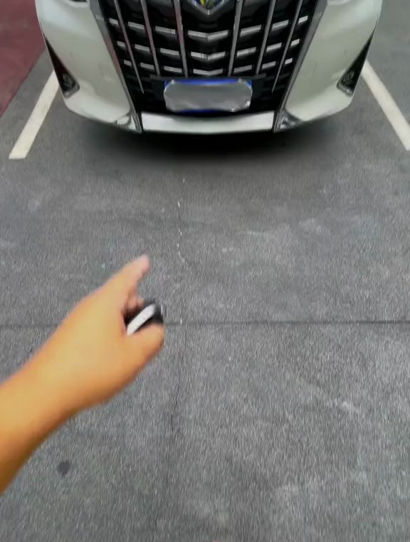 如果你的小富婆给你一辆丰田埃尔法,如何正确的开走它