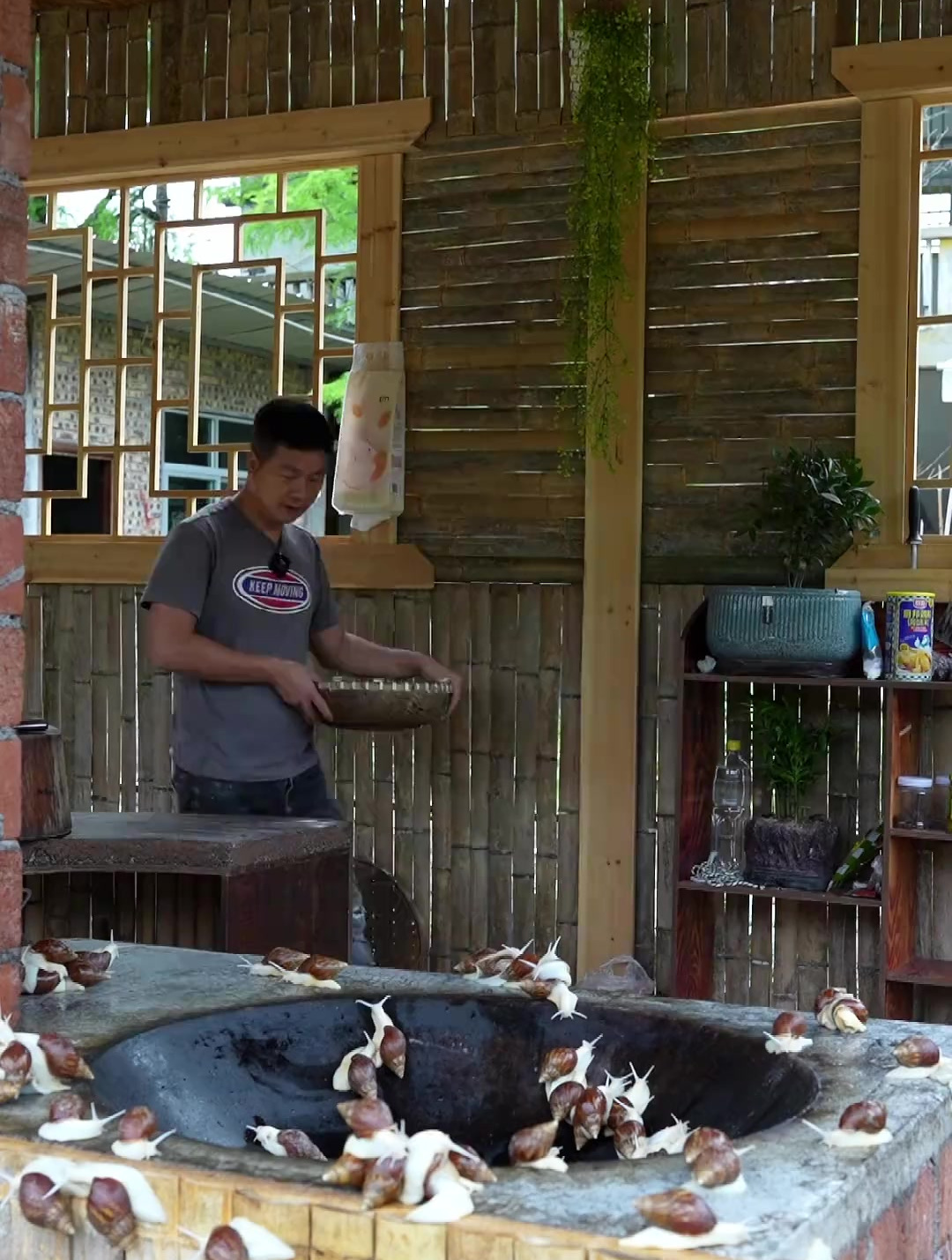 大哥把白玉蜗牛做成鲍鱼的味道