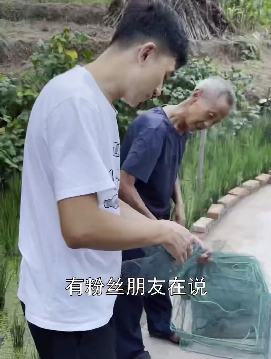 用对方法跟对人,不赚都难。蓝龙虾水产养殖