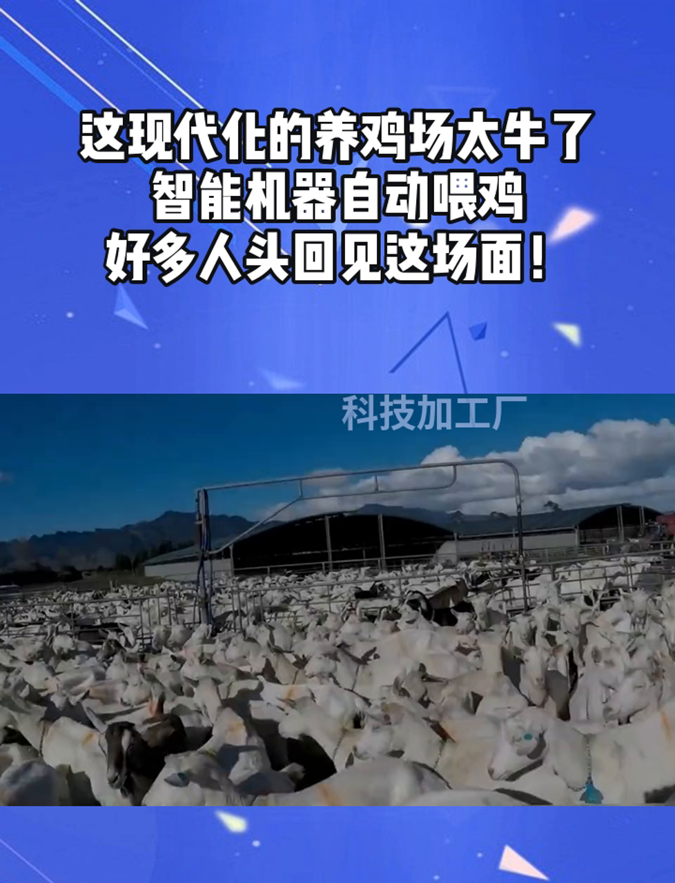 这现代化的养鸡场太牛了,智能机器自动喂鸡,好多人头回见这场面!