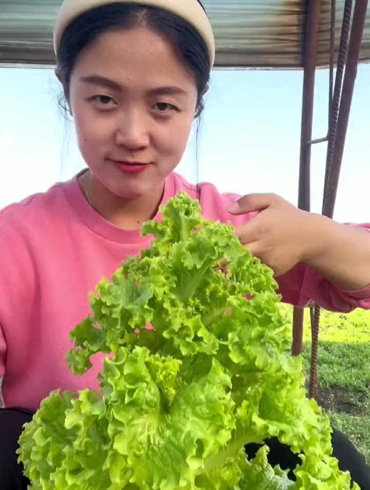 生菜树,菠菜花,这是我给他们取的新名字