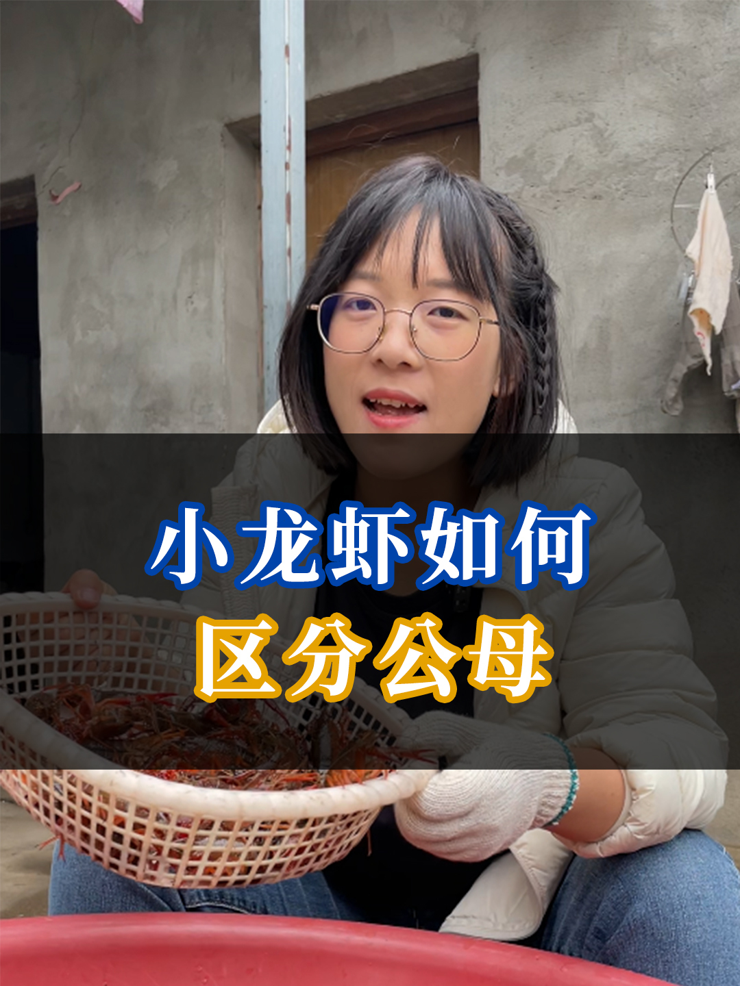 小龙虾如何区分公母?三种方法很简单识别小龙虾公母