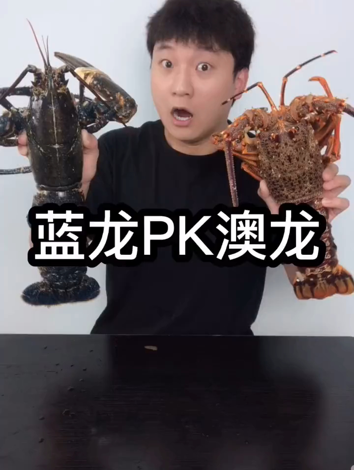 澳洲龙虾PK法国蓝龙,哪个更好吃