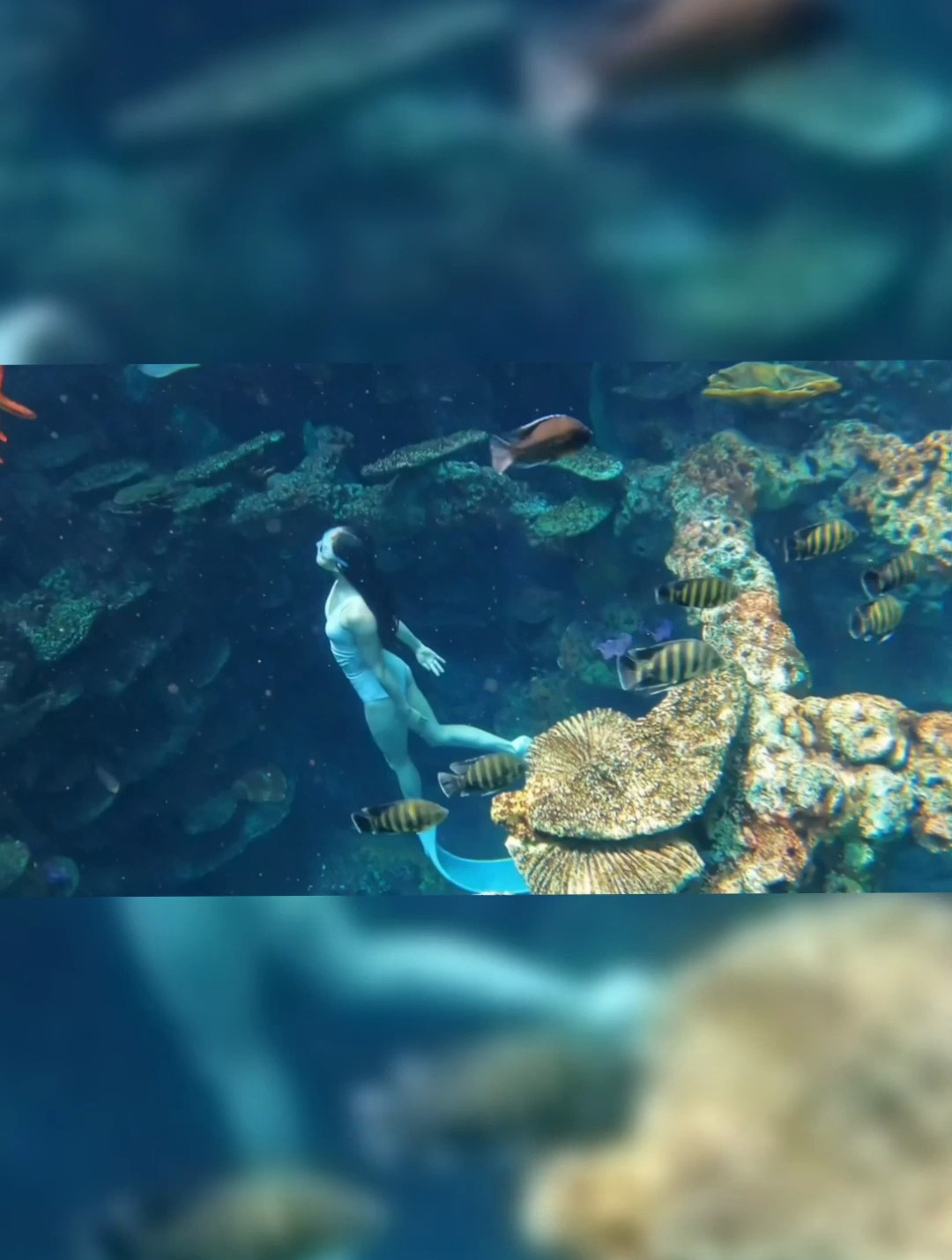 美人鱼潜水,如此美妙的身姿