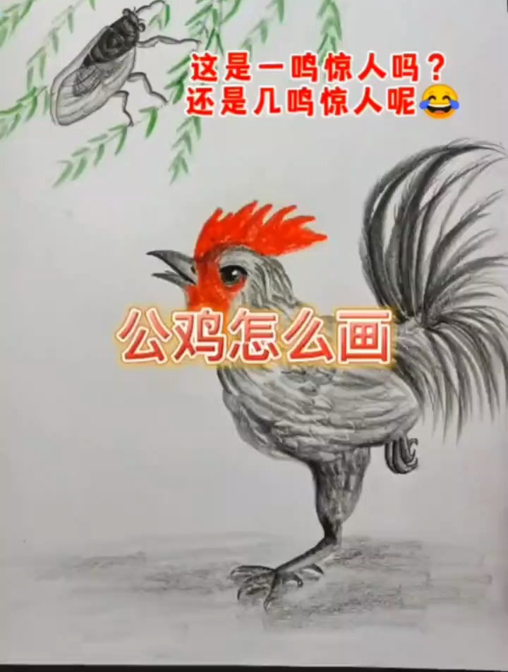 公鸡应该怎么画?