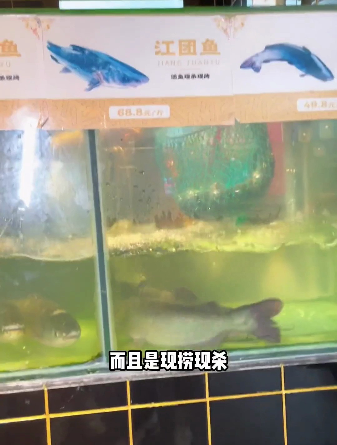 姐妹们假期来花千代秘制烤鱼 呀
