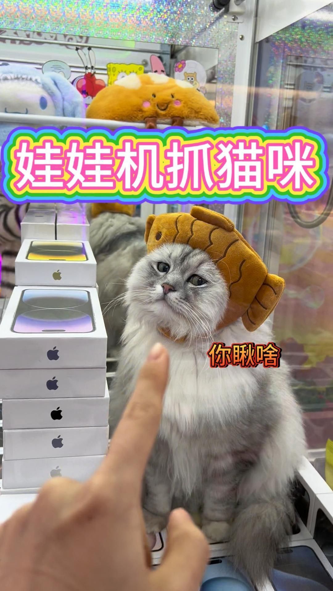 娃娃机抓鲷鱼烧猫咪!我竟打开了娃娃机门!